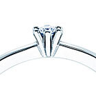 48h-Symbol: Sofort verfügbare Ringe