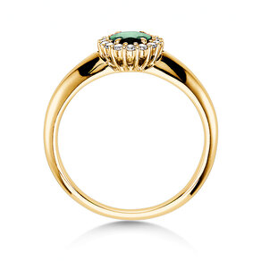Farbsteinring Windsor in Gelbgold