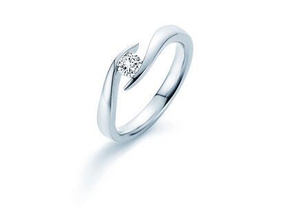Spannring Twist