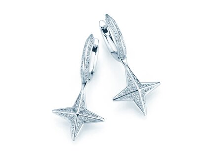 Creolen Diamond Stars in Platin