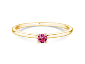 Geburtsstein-Ring Classic 4 Januar in 9K Gelbgold mit Granat 0,10ct