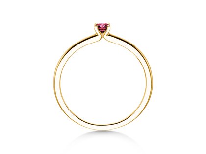 Geburtsstein-Ring Classic 4 Januar in 9K Gelbgold mit Granat 0,10ct