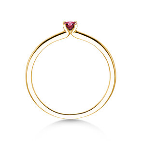 Geburtsstein-Ring Classic 4 Januar in 9K Gelbgold mit Granat 0,10ct