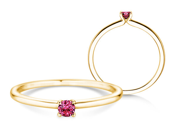 Geburtsstein-Ring Classic 4 Januar in 9K Gelbgold mit Granat 0,10ct