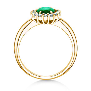 Farbsteinring Windsor Royal in Gelbgold