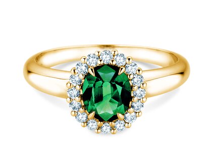 Farbsteinring Windsor Royal in Gelbgold