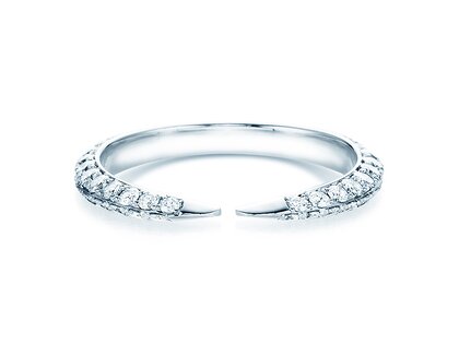Eternityring Fierce Gap
