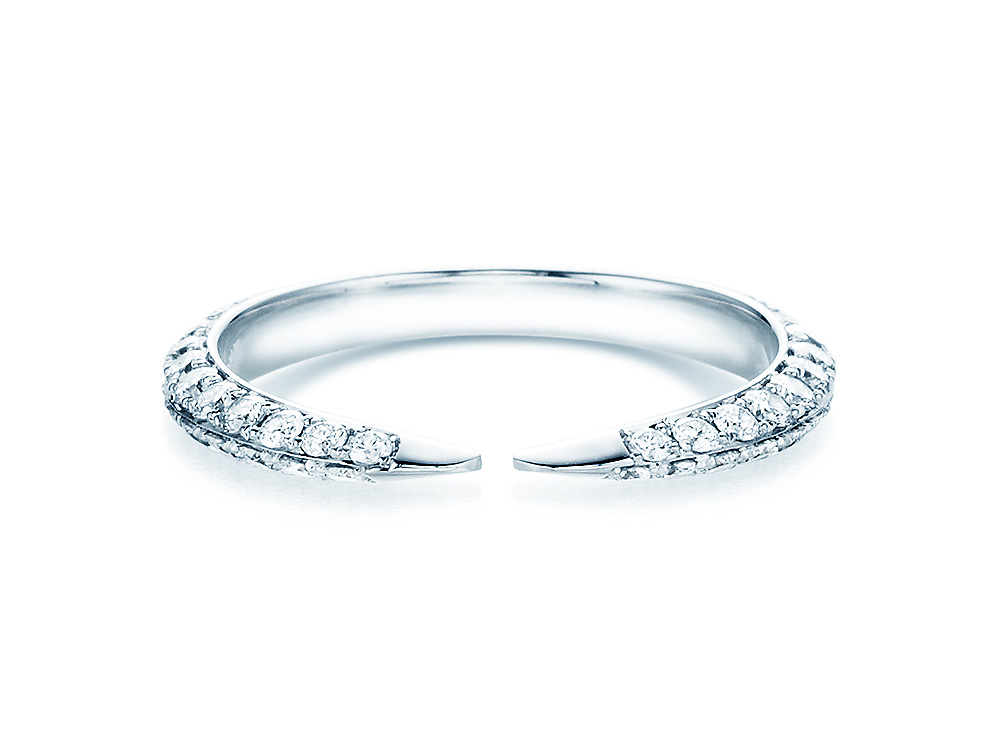 Eternityring Fierce Gap