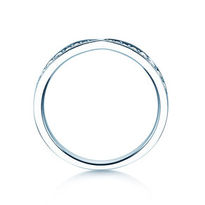 Eternityring V-Eternity in Platin