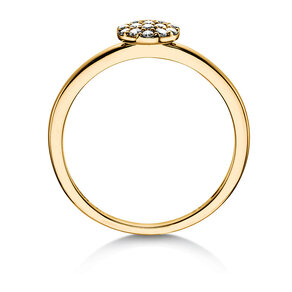 Diamantring Sparkling Circle