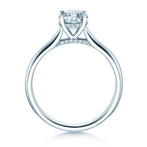 Diamantring Classic 4 Hidden Halo in Platin