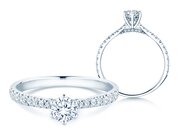 Diamantring Classic 6 Hidden Halo Pavé in Platin