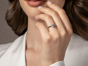 Diamantring Classic 6 Hidden Halo