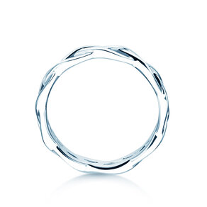Ring Curve in Silber