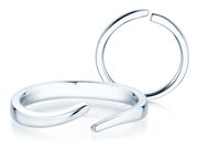 Ring Flow in Silber