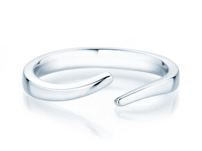 Ring Flow in Silber