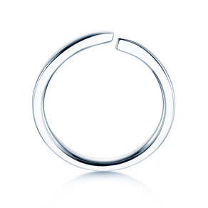 Ring Flow in Silber