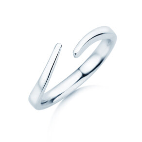 Ring Flow in Silber