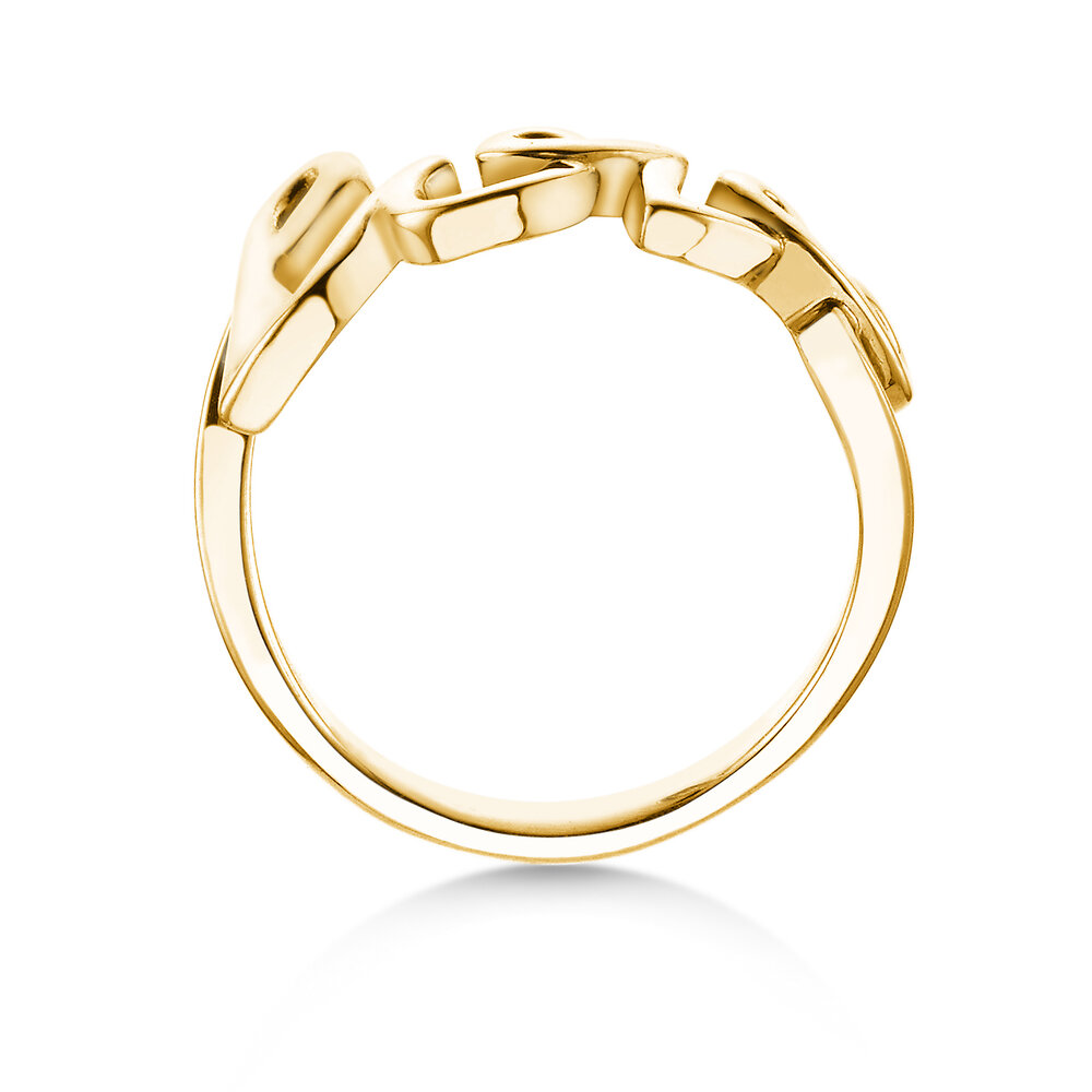 Ring Love Clean in 9K Gelbgold poliert
