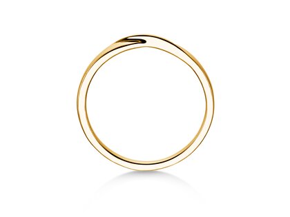 Ring Spin in Gelbgold