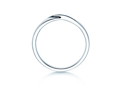 Ring Spin