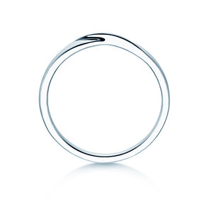 Ring Spin