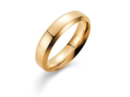 Eheringe Gravity