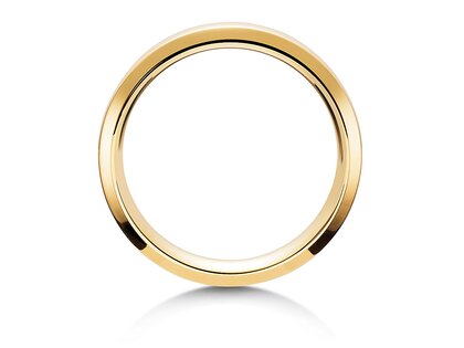 Eheringe Gravity
