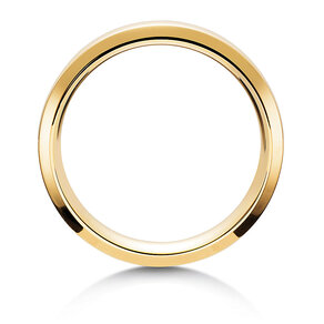 Eheringe Gravity