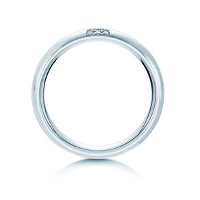 Eheringe Unity in Platin